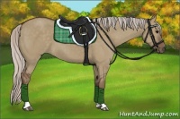 Horse Color:Silver Grullo Sabino