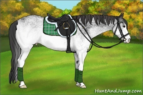 Horse Color:White Spotted Smoky Black