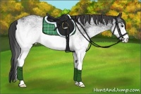 Horse Color:White Spotted Smoky Black