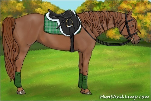 Horse Color:Chestnut Rabicano