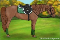 Horse Color:Chestnut Rabicano 
