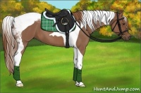 Horse Color:Red Roan Tobiano 