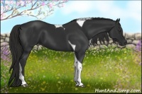 Horse Color:Liver Chestnut Tobiano