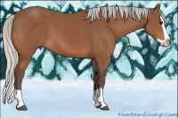 Horse Color:Silver Bay Splash 