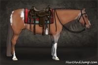 Horse Color:Bay Roan Appaloosa  and Bay 