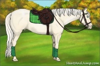 Horse Color:Palomino Roan Pearl Dun