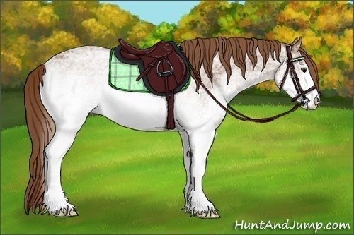 Horse Color:White Spotted Chestnut Ice