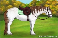 Horse Color:White Spotted Chestnut Ice 
