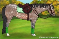 Horse Color:Bay Ice 