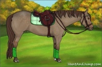 Horse Color:Liver Red Dun 