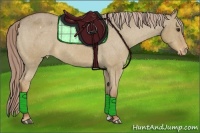 Horse Color:Red Dun Varnish 