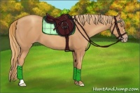 Horse Color:Gold Champagne 