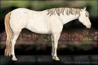 Horse Color:Buckskin Roan Pearl and Buckskin Roan Pearl