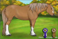Horse Color:Gray Palomino