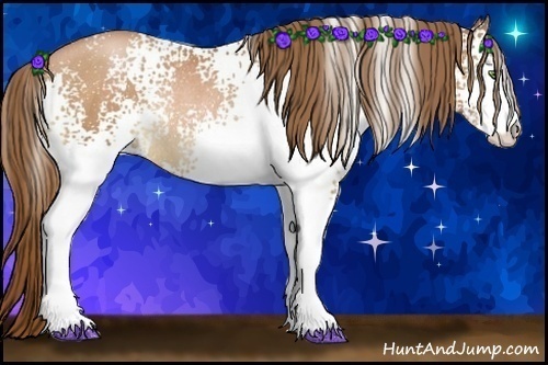 Horse Color:White Spotted Bay Pearl Sabino Rabicano