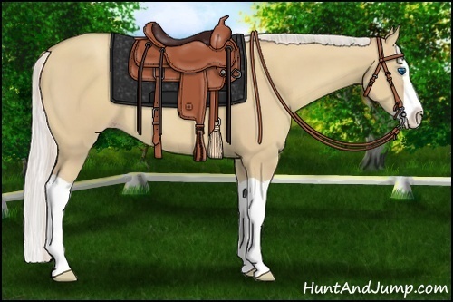 Horse Color:Silver Classic Champagne Dun Splash 