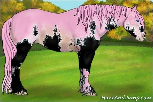 Horse Color:Watercolor Brown Splash 