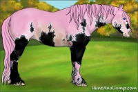 Horse Color:Watercolor Brown Splash 