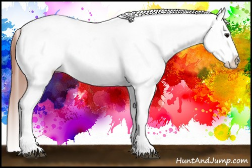 Horse Color:Bay Roan Blanket