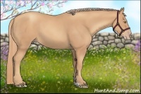 Horse Color:Gold Champagne 