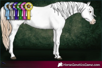 Horse Color:Chestnut Blanket 