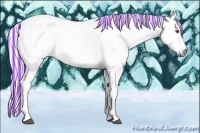 Horse Color:Painted Chestnut Chinchilla 
