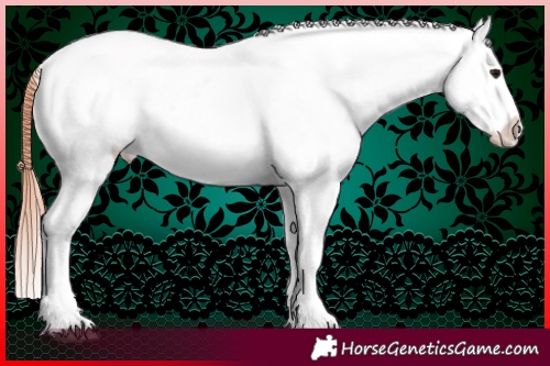 Horse Color:Bay Dun Splash Snowcap