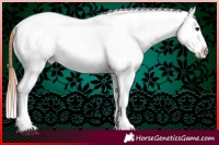 Horse Color:Bay Dun Splash Snowcap 