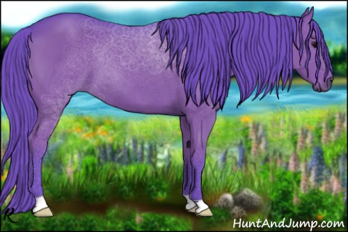 Horse Color:Watercolor Black