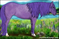 Horse Color:Watercolor Black 