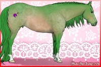 Horse Color:Watercolor Brown 