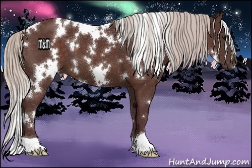 Horse Color:White Spotted Chocolate Silver Brown