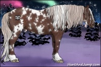 Horse Color:White Spotted Chocolate Silver Brown