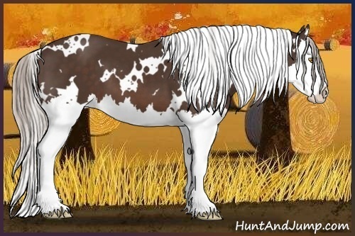 Horse Color:White Spotted Silver Brown Splash 