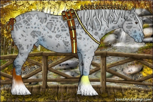 Horse Color:ERROR: UNKNOWN ANOMALY