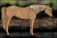 Horse Color:Chestnut and Chestnut