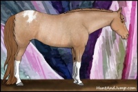 Horse Color:Brown Pearl Appaloosa Rabicano