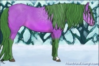Horse Color:Watercolor Bay 