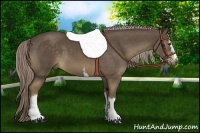 Horse Color:White Spotted Chocolate Palomino