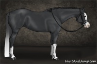 Horse Color:Black Splash