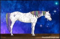 Horse Color:Painted Watercolor Buckskin Ice Dun Appaloosa 