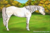 Horse Color:White Spotted Chocolate Palomino Pearl Dun
