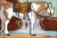 Horse Color:Chestnut Splash Frame  and Chestnut Splash Frame 