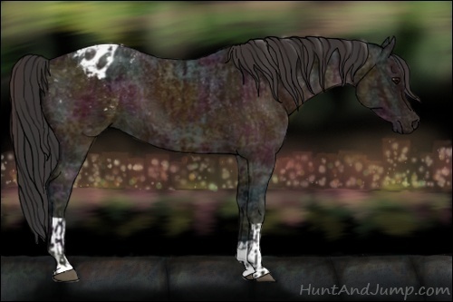 Horse Color:Midnight Brown Ice Appaloosa  and Midnight Brown Ice Appaloosa 