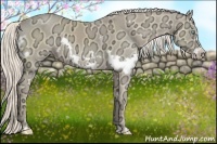 Horse Color:White Spotted Cremello Ice Frame 