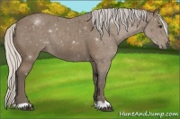 Horse Color:Silver Black 