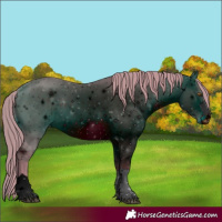 Horse Color:ERROR: UNKNOWN ANOMALY