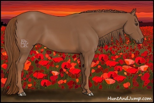 Horse Color:Chestnut 