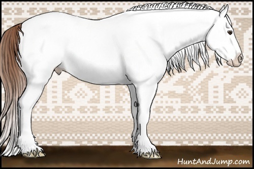 Horse Color:White Spotted Chestnut Splash Appaloosa Rabicano 