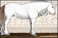 Horse Color:White Spotted Chestnut Splash Blanket Rabicano 